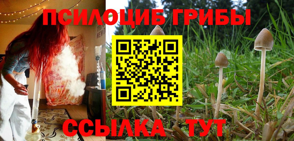 Галлюциногенные грибы Magic Shrooms  Галлюциногенные грибы мухоморы  Вход с VPN  Пугачёв 